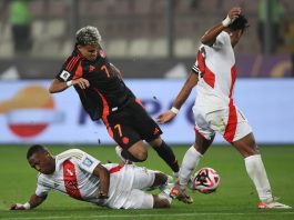 Así será la fecha 15 de las eliminatorias sudamericanas: hora y dónde ver en vivo | Colombia vs. Perú | Conmebol | EL ESPECTADOR