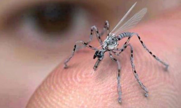 Drones insecto: Arma secreta de USA