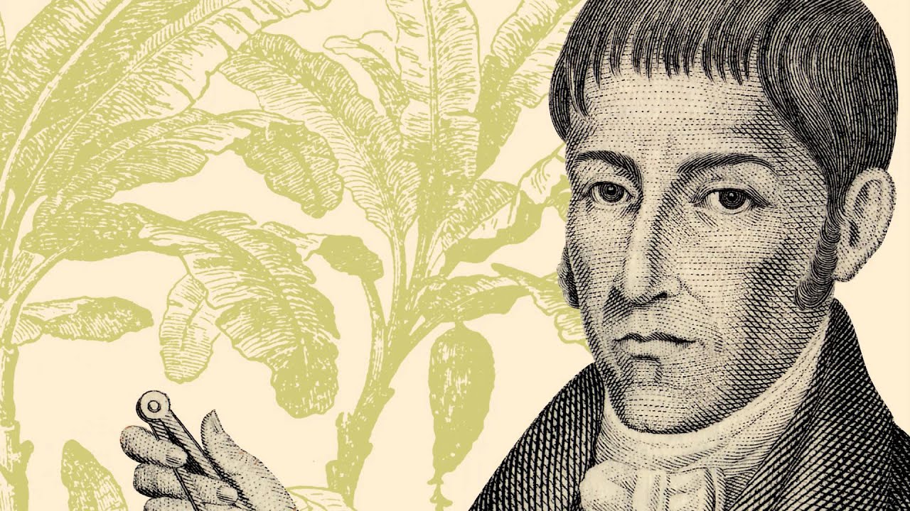 Francisco José de Caldas: conmemoración solemne de su muerte | Parque  Explora