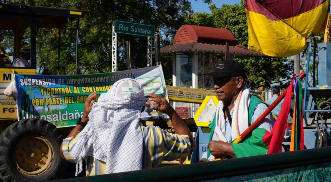 Segundo paro arrocero de este 2025 cumple 10 días en el Tolima | El Cronista | Periodismo de análisis y opinión de Ibagué y el Tolima
