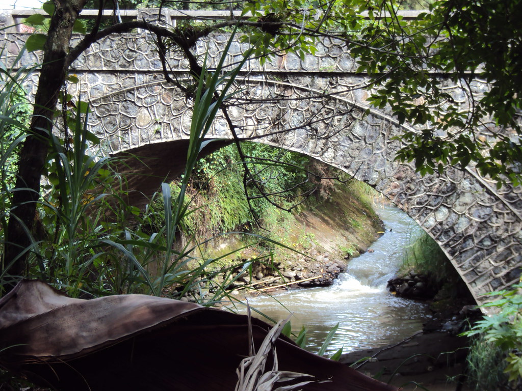 Puente sobre el rio molino | luis fernando paredes | Flickr