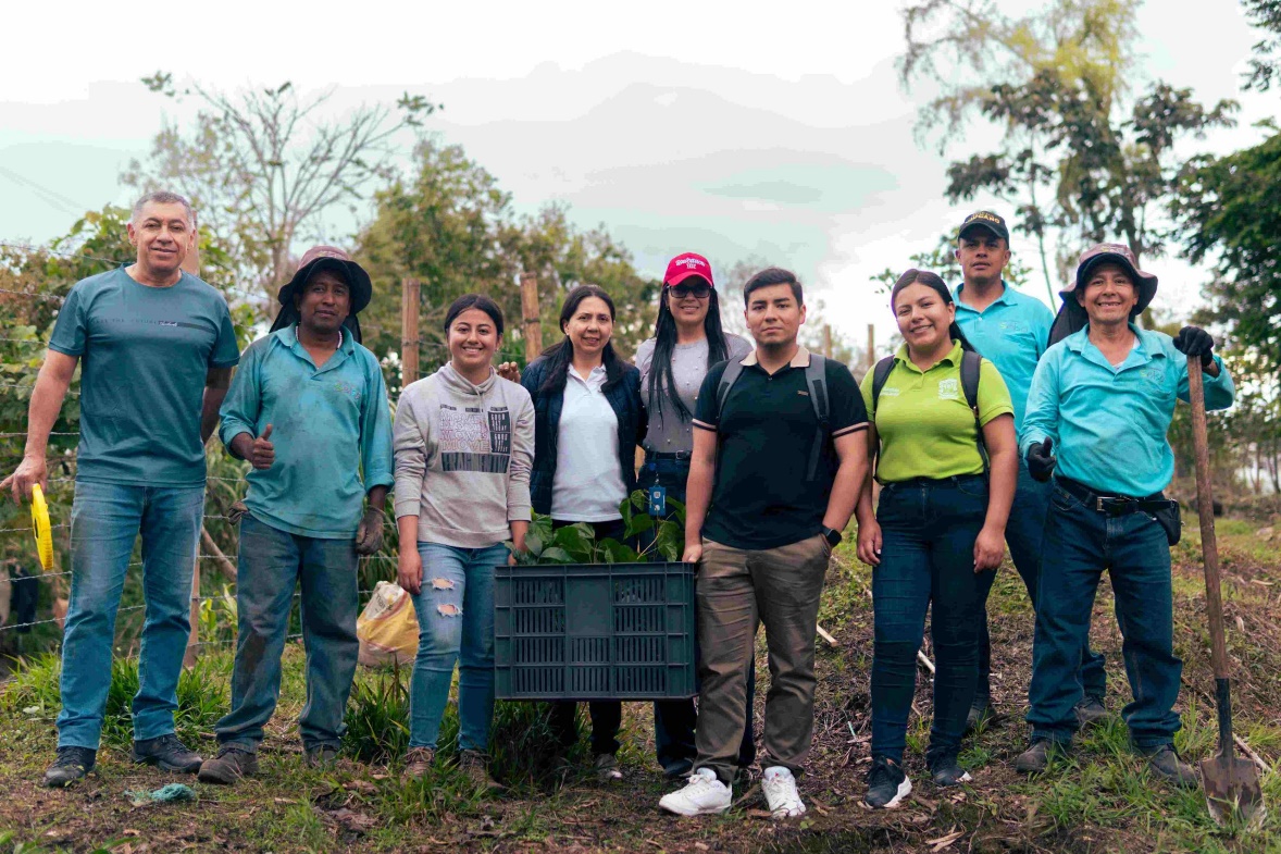 Imagen siembra de árboles