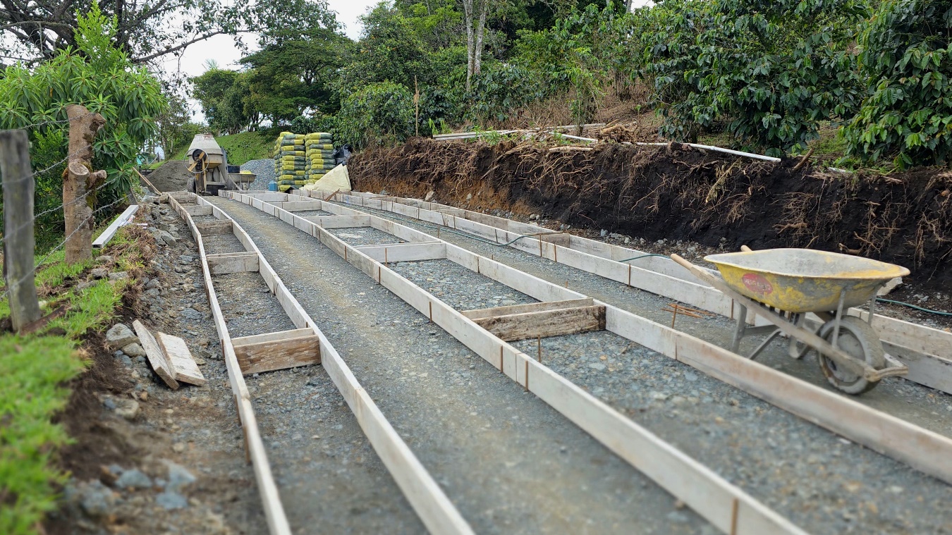 Un tren en las vías en un parque

El contenido generado por IA puede ser incorrecto.